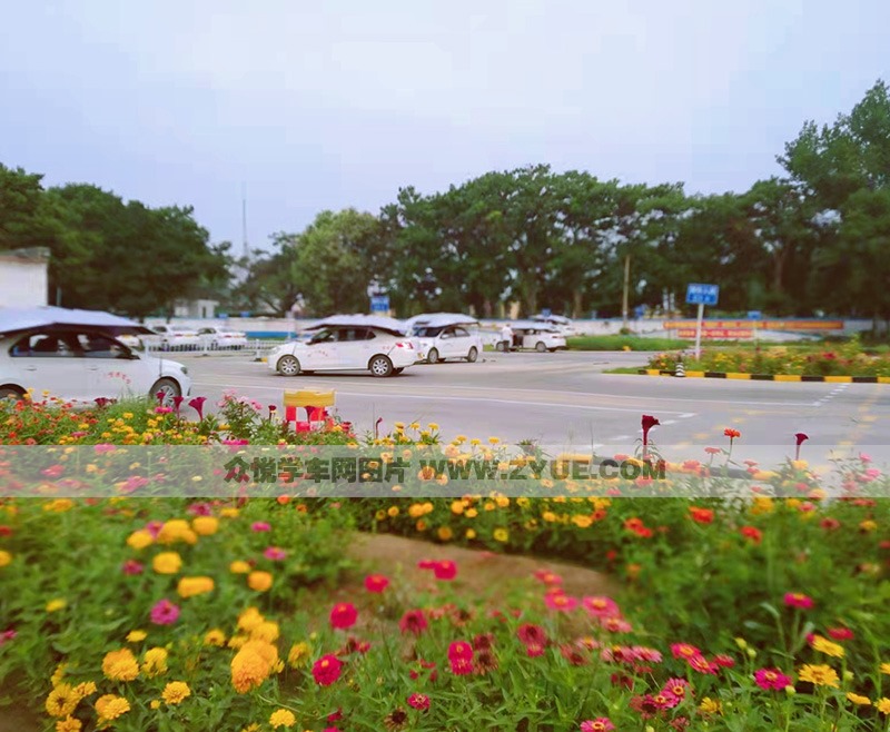 恒通總校駕校風采