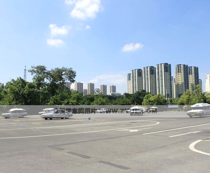 駕校風采