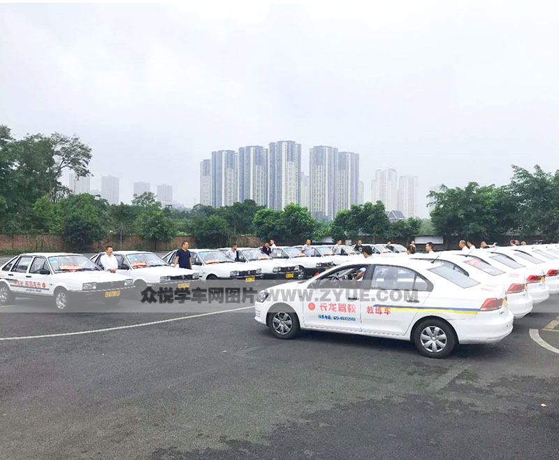 駕校風采