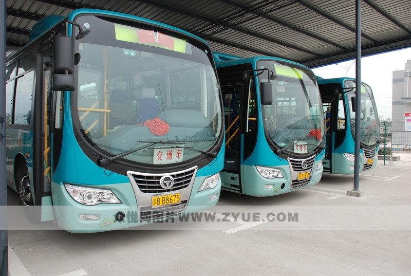 公交駕校教練車(chē)