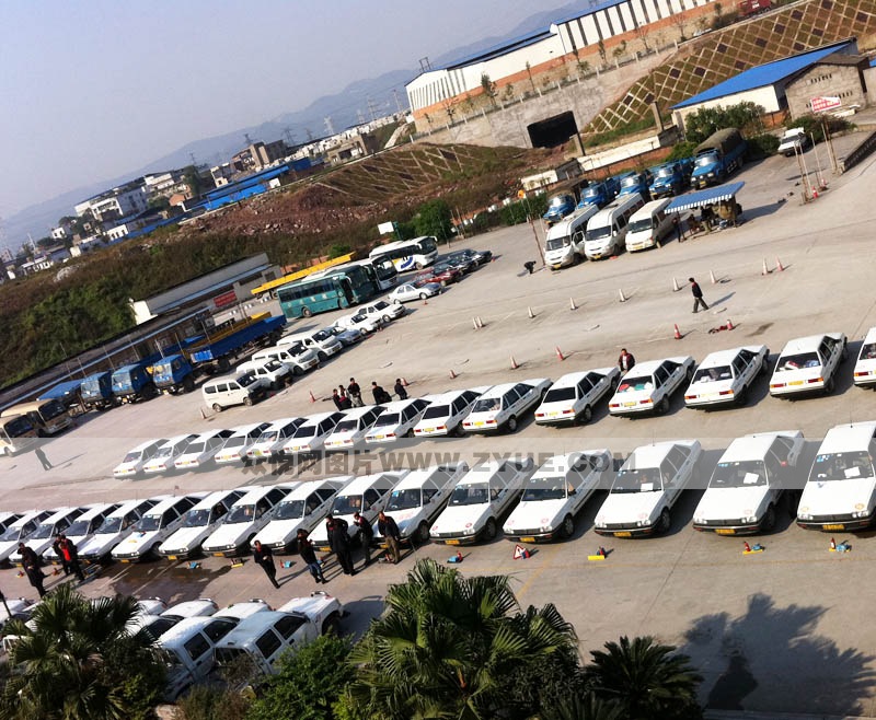 公運駕校訓練車型