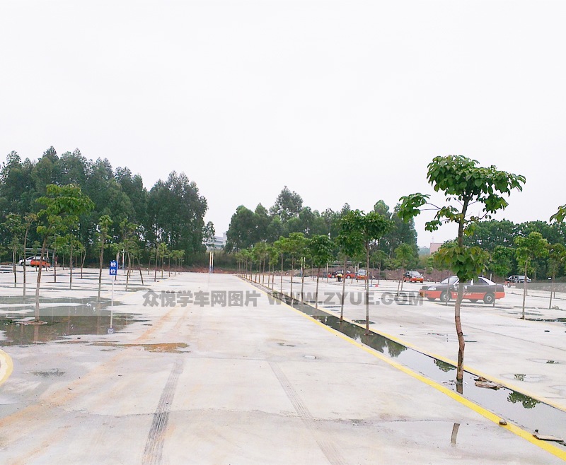 啟信駕校大型倒樁場(chǎng)地