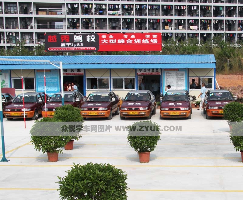 越秀駕校訓(xùn)練車(chē)型
