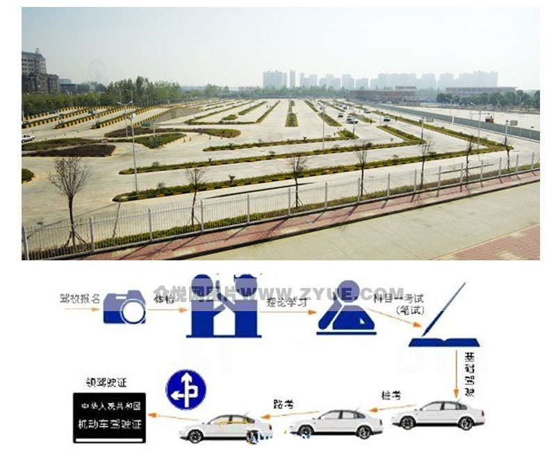 南航駕?？既●{照流程圖