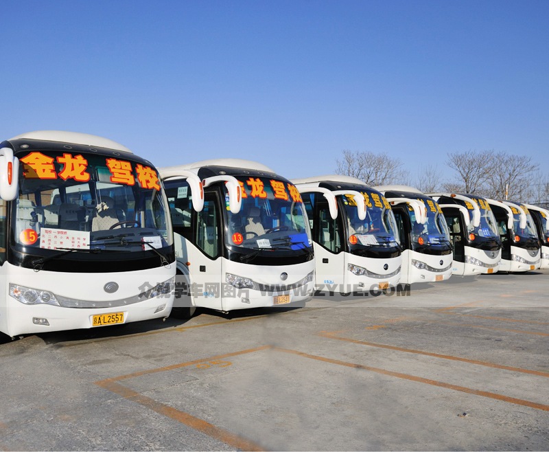 金龍駕校學(xué)車接送班車
