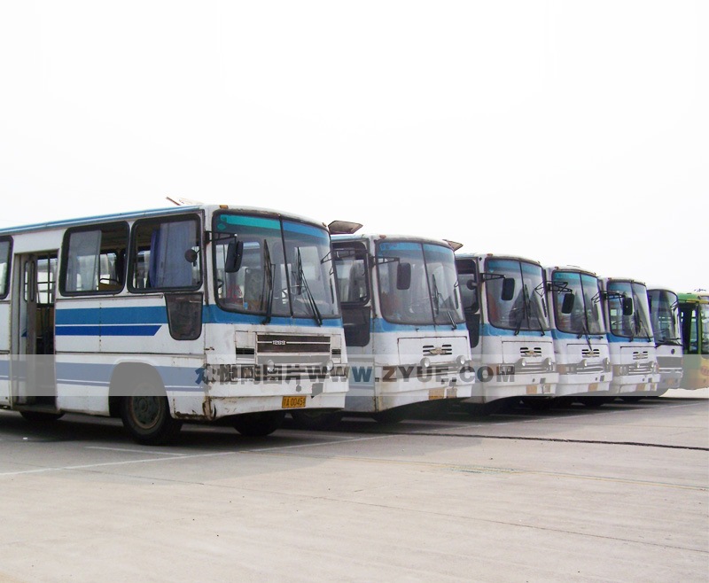 公交駕校訓(xùn)練車隊