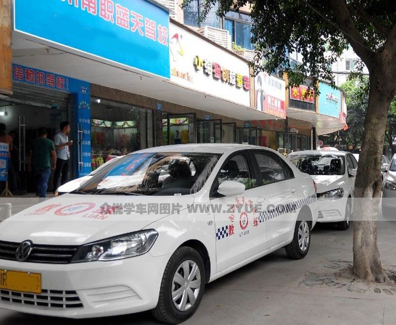 南職藍天駕校教練車一覽