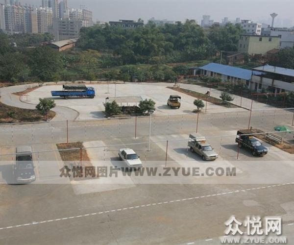 星車族駕校風采