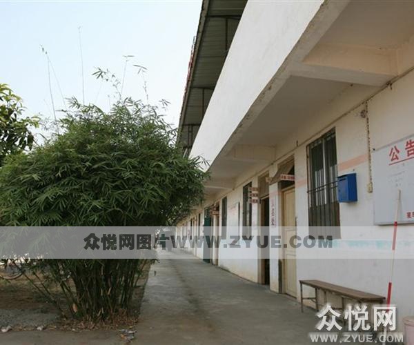 星車族駕校風采3