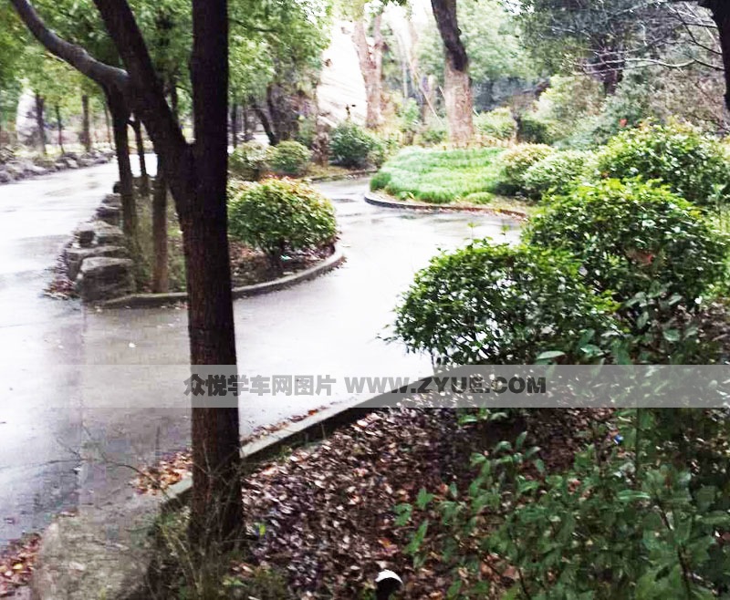 上海惠佳駕校曲線行駛場(chǎng)地