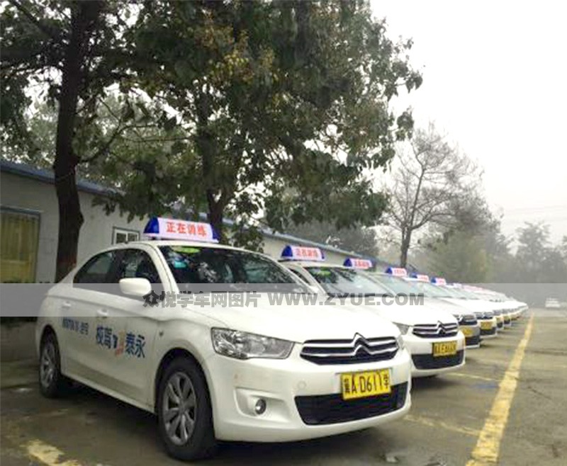 訓練車型