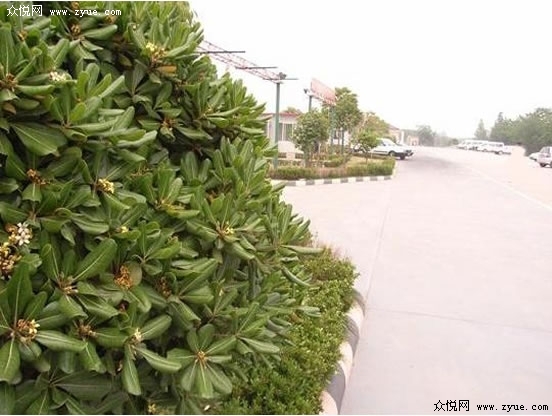 揚(yáng)中駕校風(fēng)景