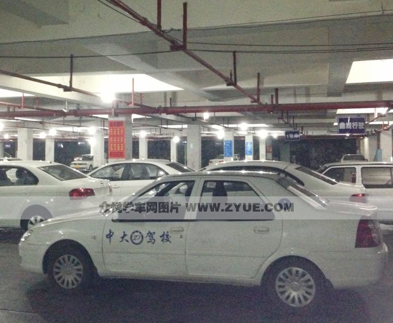 中大駕校訓練車型